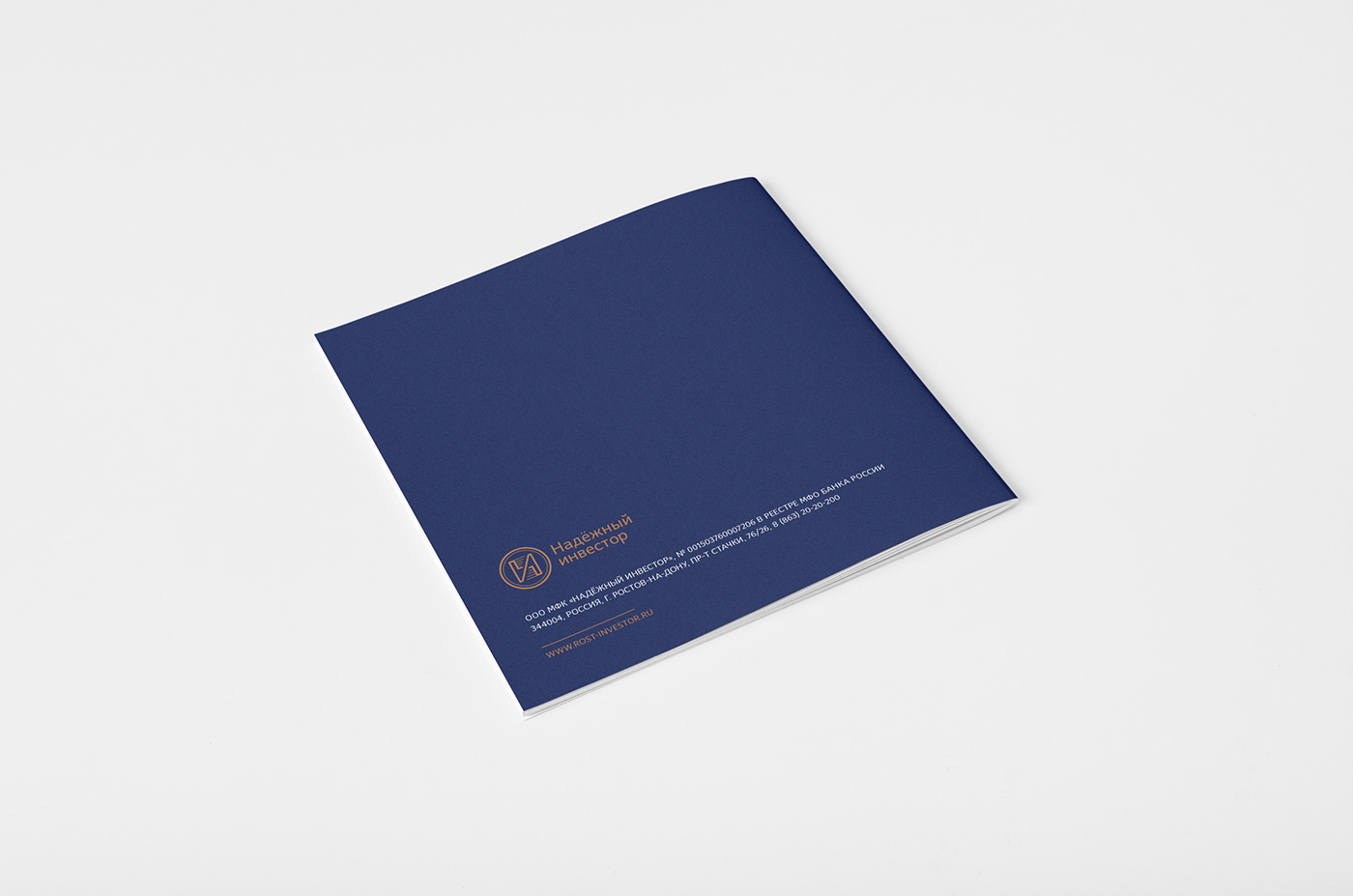 brochure design editorial Layout InDesign print