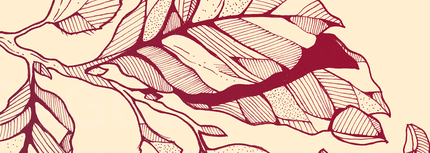 Nature Drawing  Tree  leaf Outdoor sketchbook sketch forest botanical wood