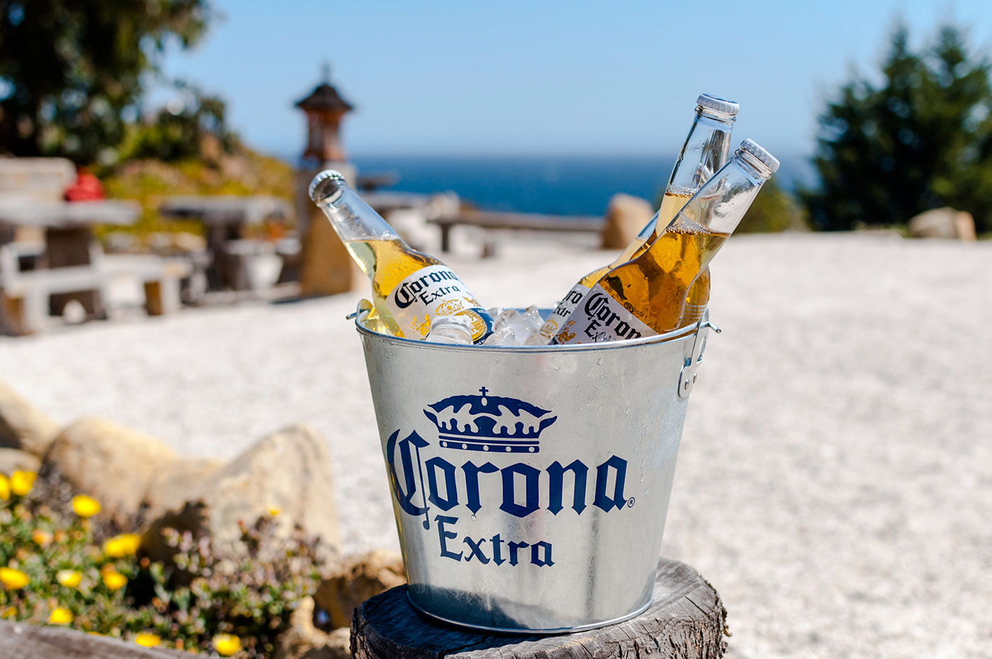 corona beer social media stock photos