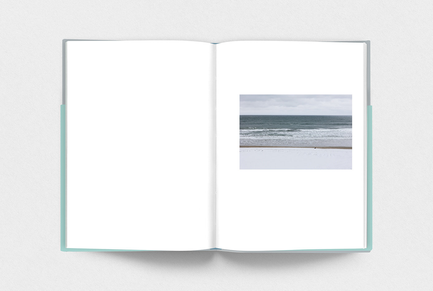 book design Photography  editorial