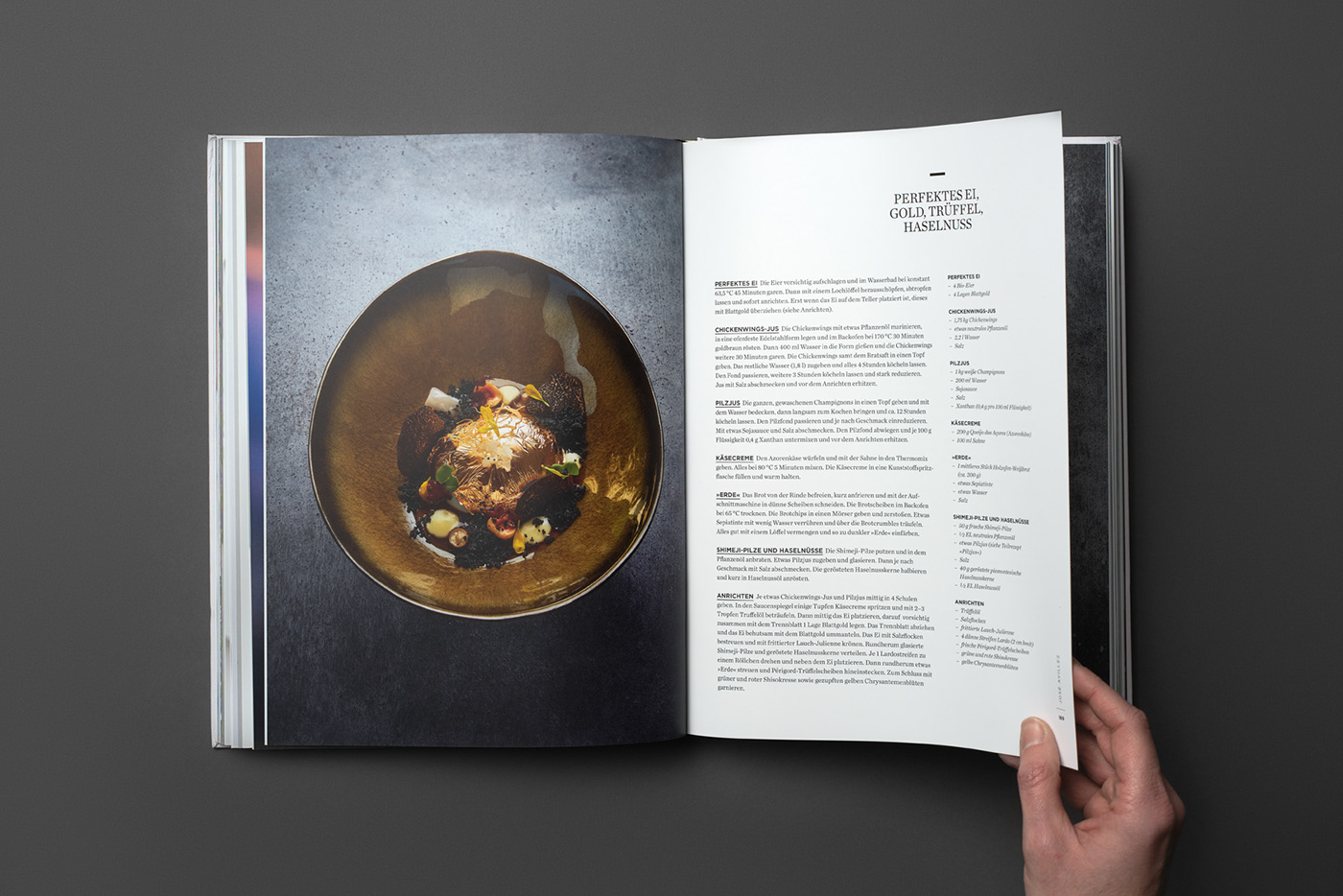 cookbook Culinary Ikarus salzburg austria golden Food  printdesign cook