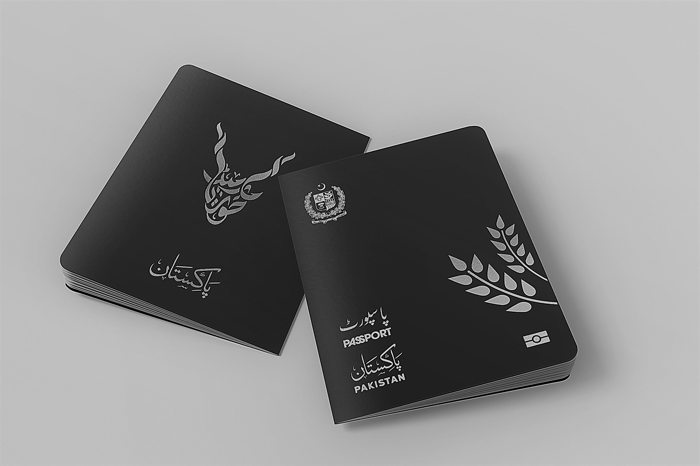 Pakistan Passport passport cover PassportToCreativity