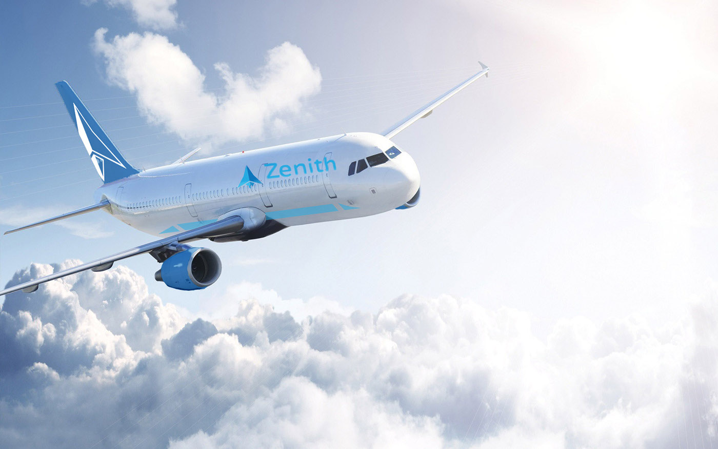 zenith airline company airline airplane boccitto graphics