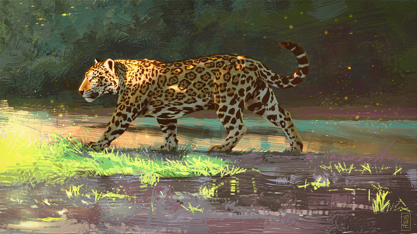 onça jaguar animal Digital Art  ILLUSTRATION  artwork editorial book magazine Editorial Illustration