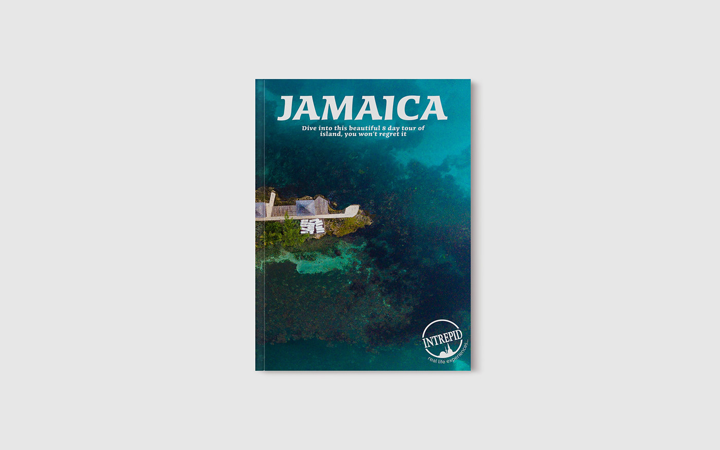 brochure design ILLUSTRATION  InDesign jamaica Nature Travel