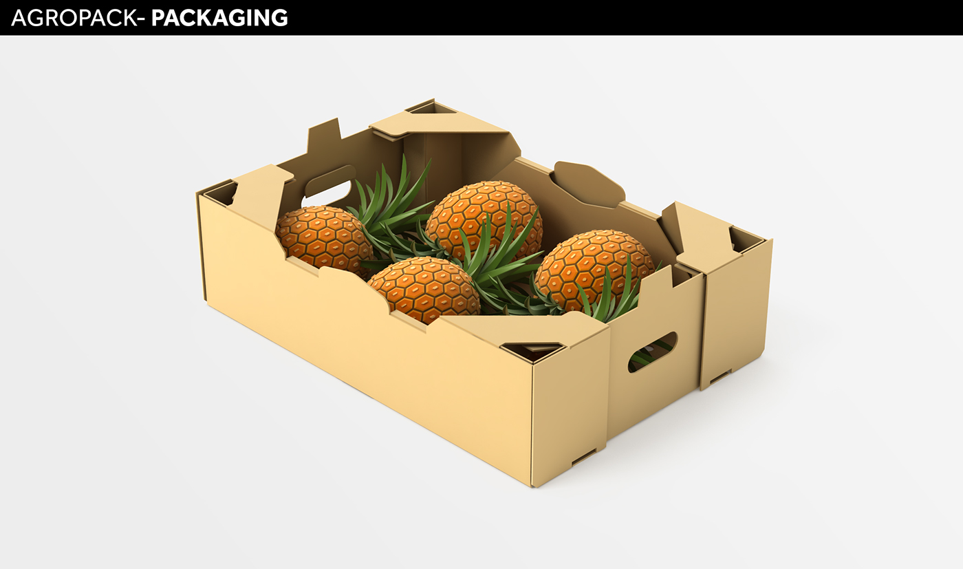 3D Agropak Smurfit kappa box Packaging Solutions