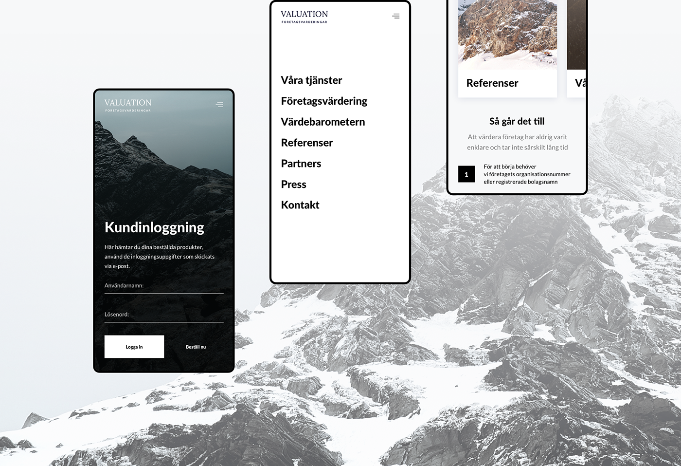 web-design ux/ui site business valuation Sweden black and white Minimalism sydorov
