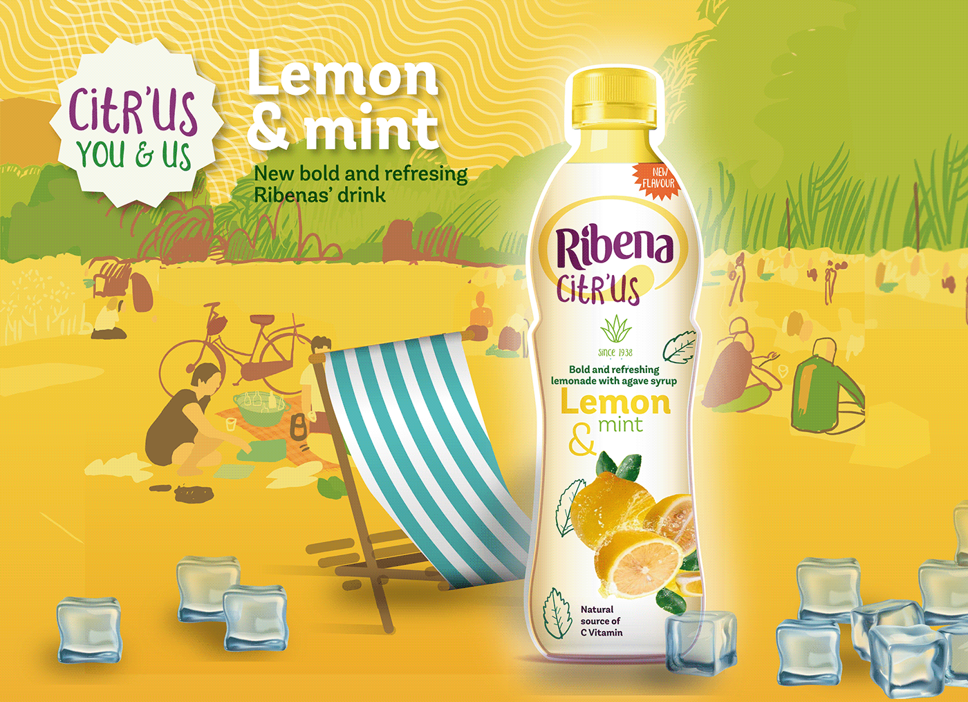 citrus lemonade millenials mint Park picnic refreshing Sun vitamins