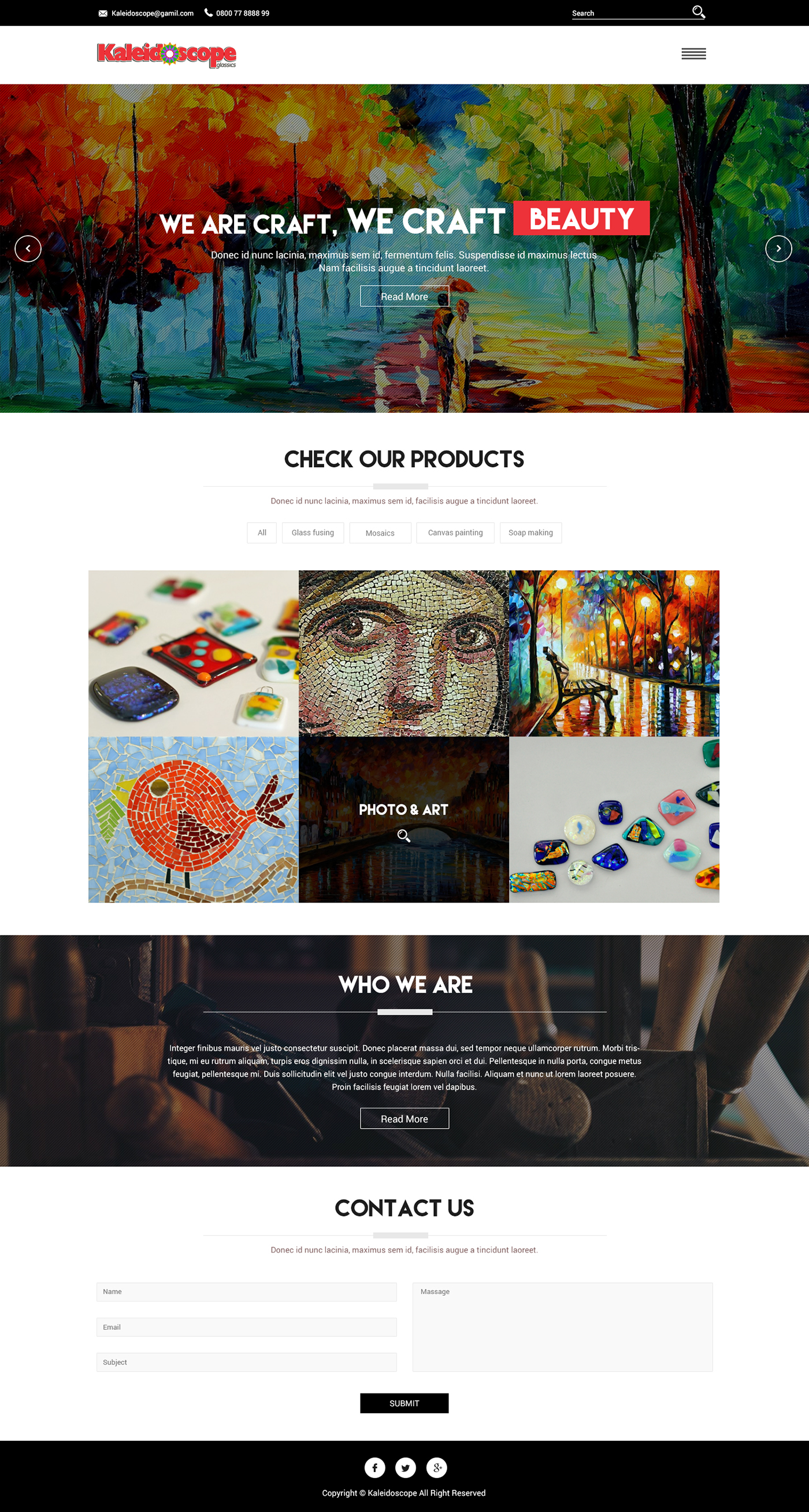 hexa tiger michael peres mikey peres web design california Web Design web development