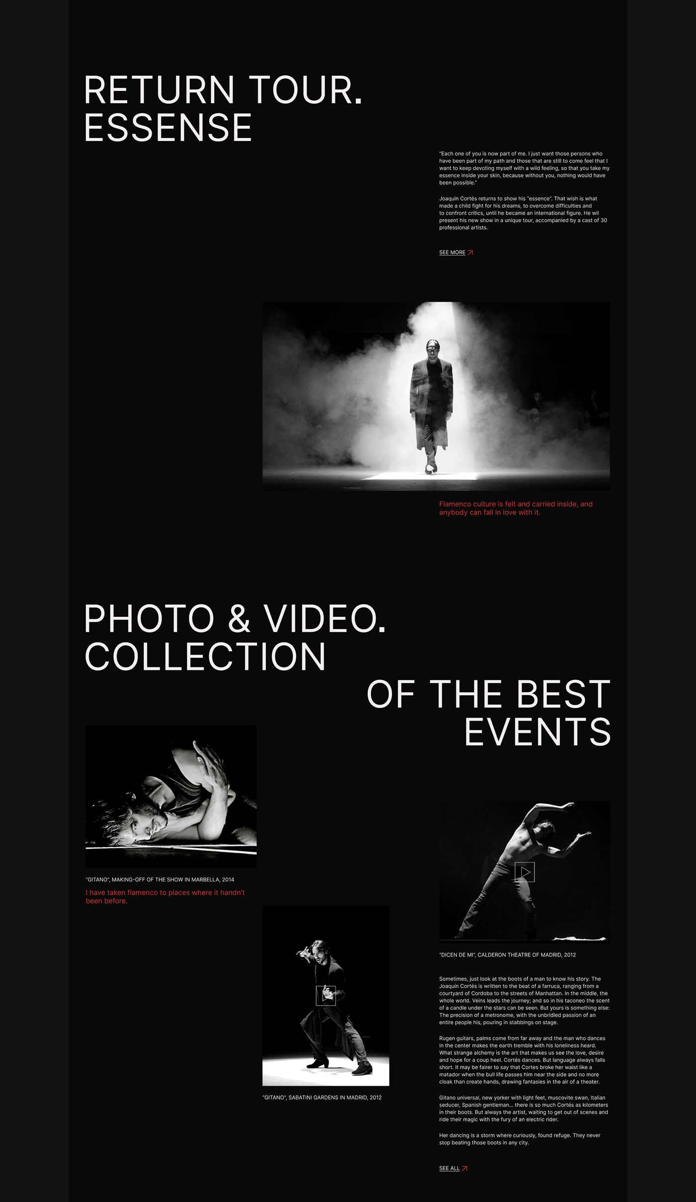 biography Flamenco personal portfolio spain ui design UI/UX ux Website