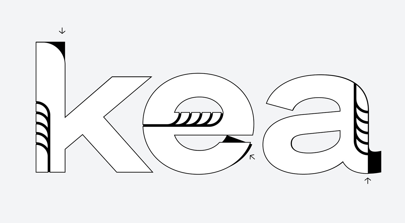 logo Logo Design brand identity branding  Logotype Brand Design Graphic Designer