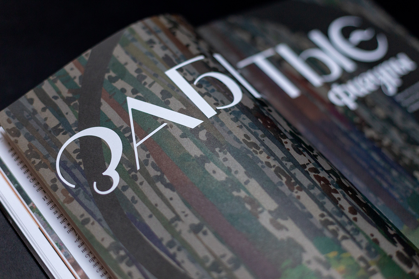 typography   print design  magazine art lettering type font graphic design  ILLUSTRATION  print