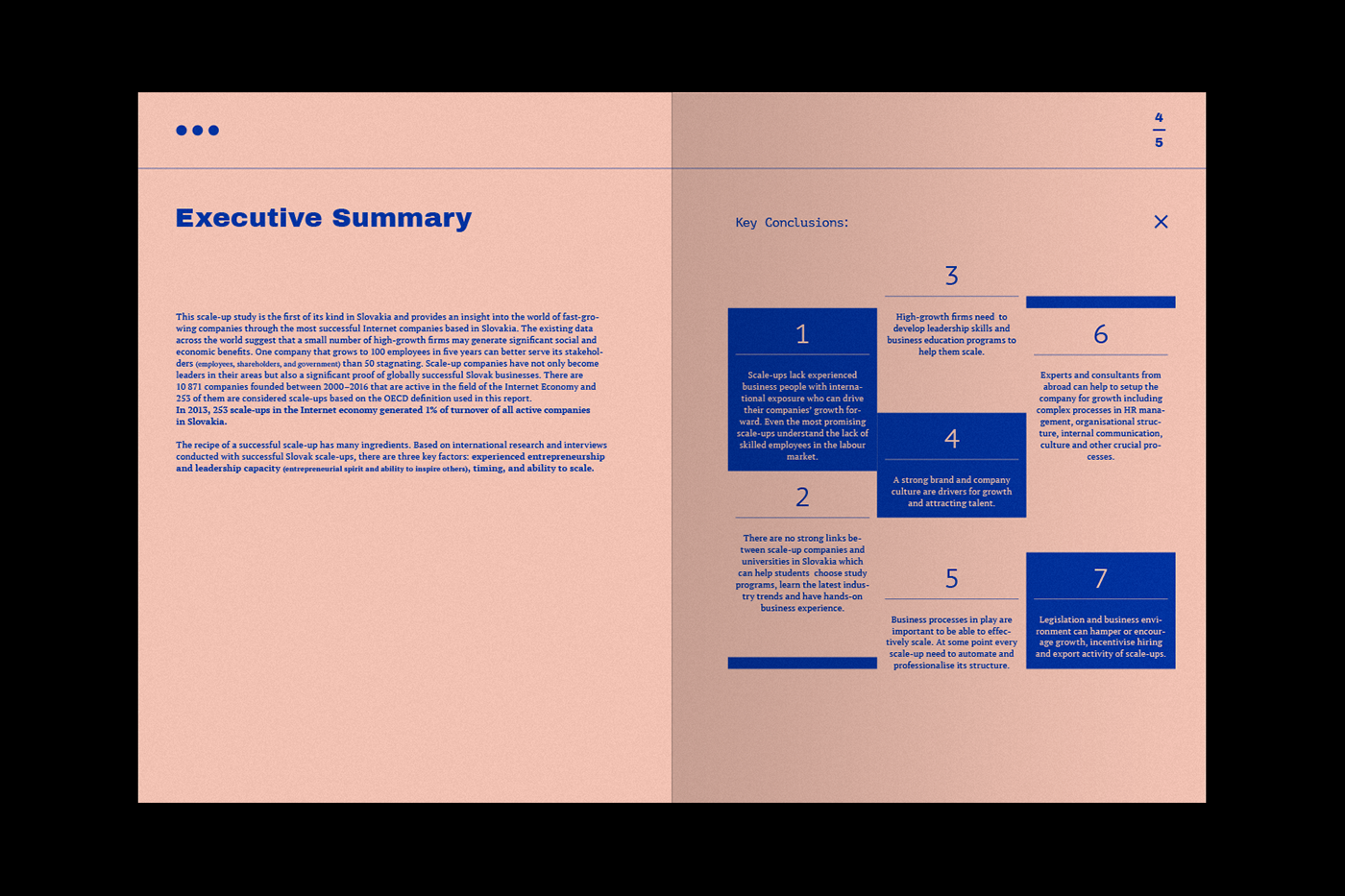 ANNUAL report Layout editorial sapie Internet age
