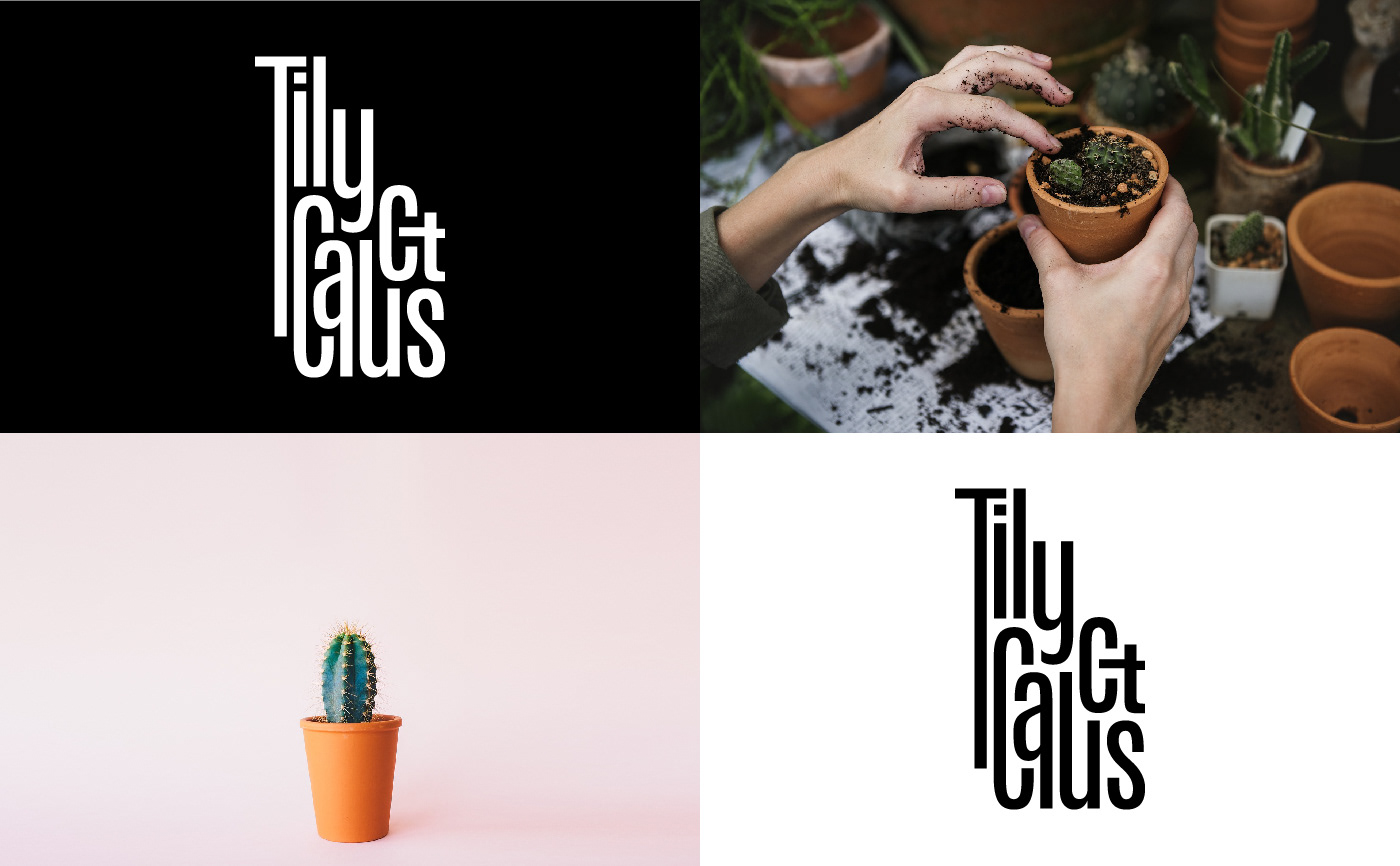 brand identity visual typography   marque cactus concept pattern natural communication