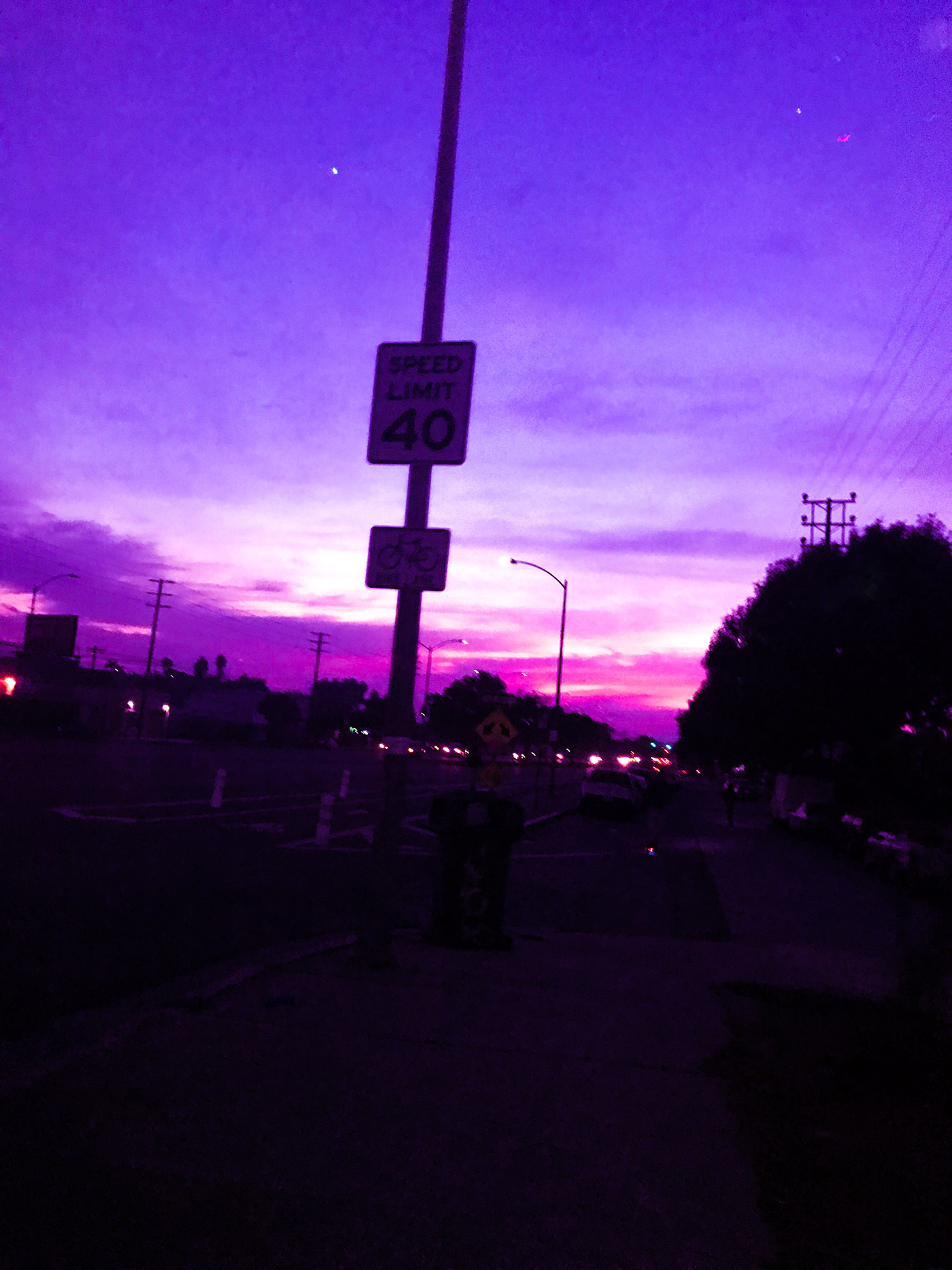 purple Photography 