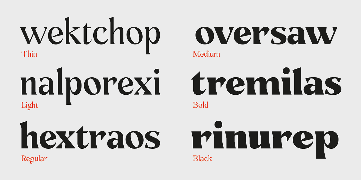 design font graphic design  lettering letterpress serif type Typeface typeface design typography  