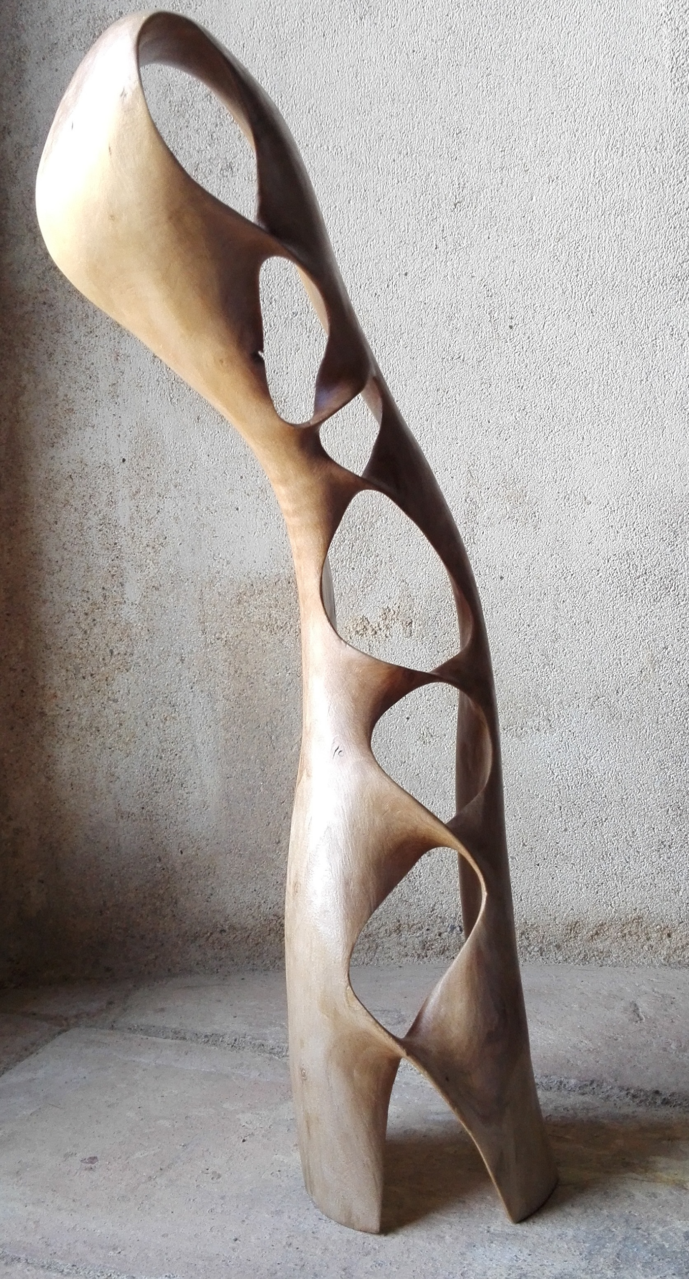 wood woodcarving Scultpture escultura Fusta  madera