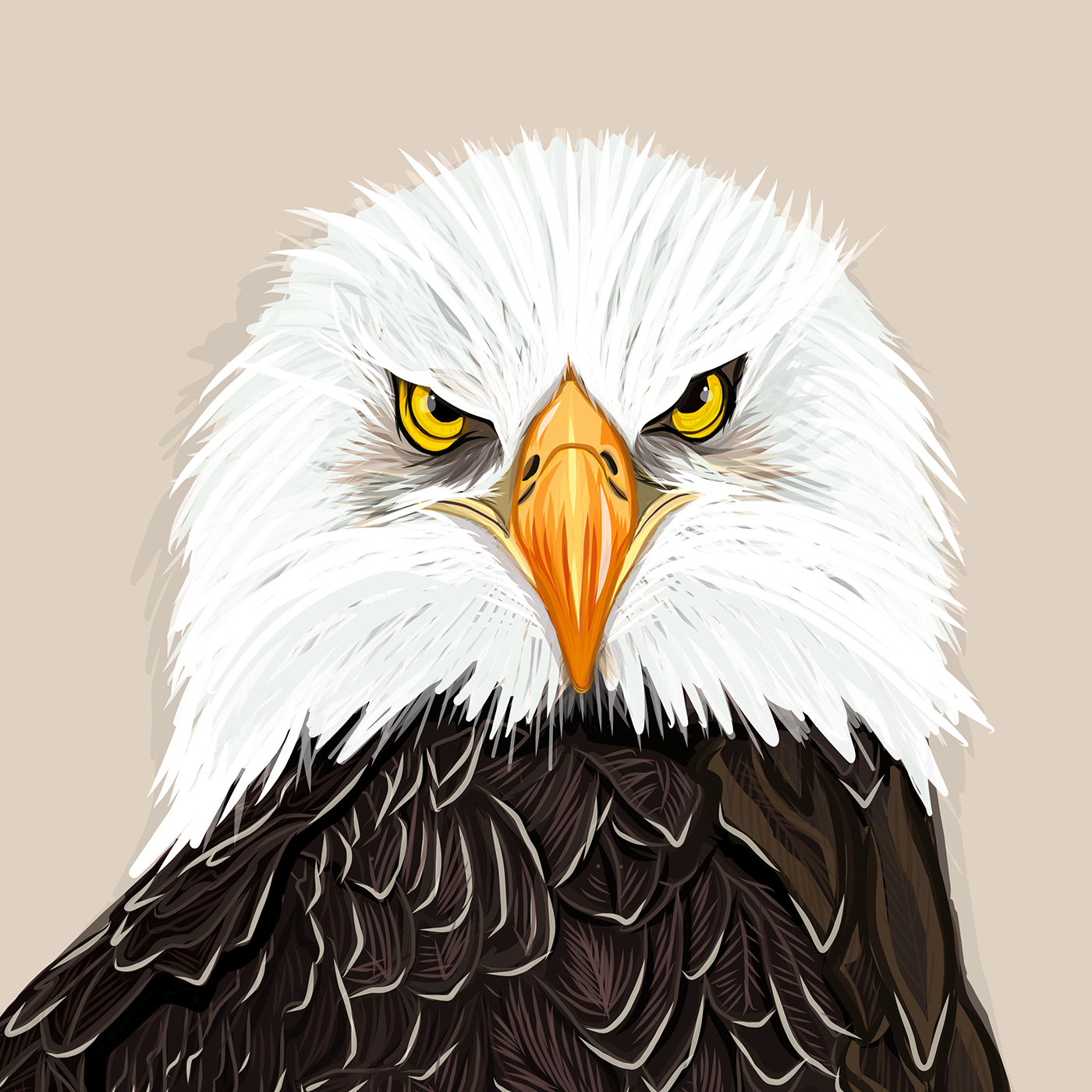 olbap olbapdesign ILLUSTRATION  eagle bald eagle vector adobe draw digital paint