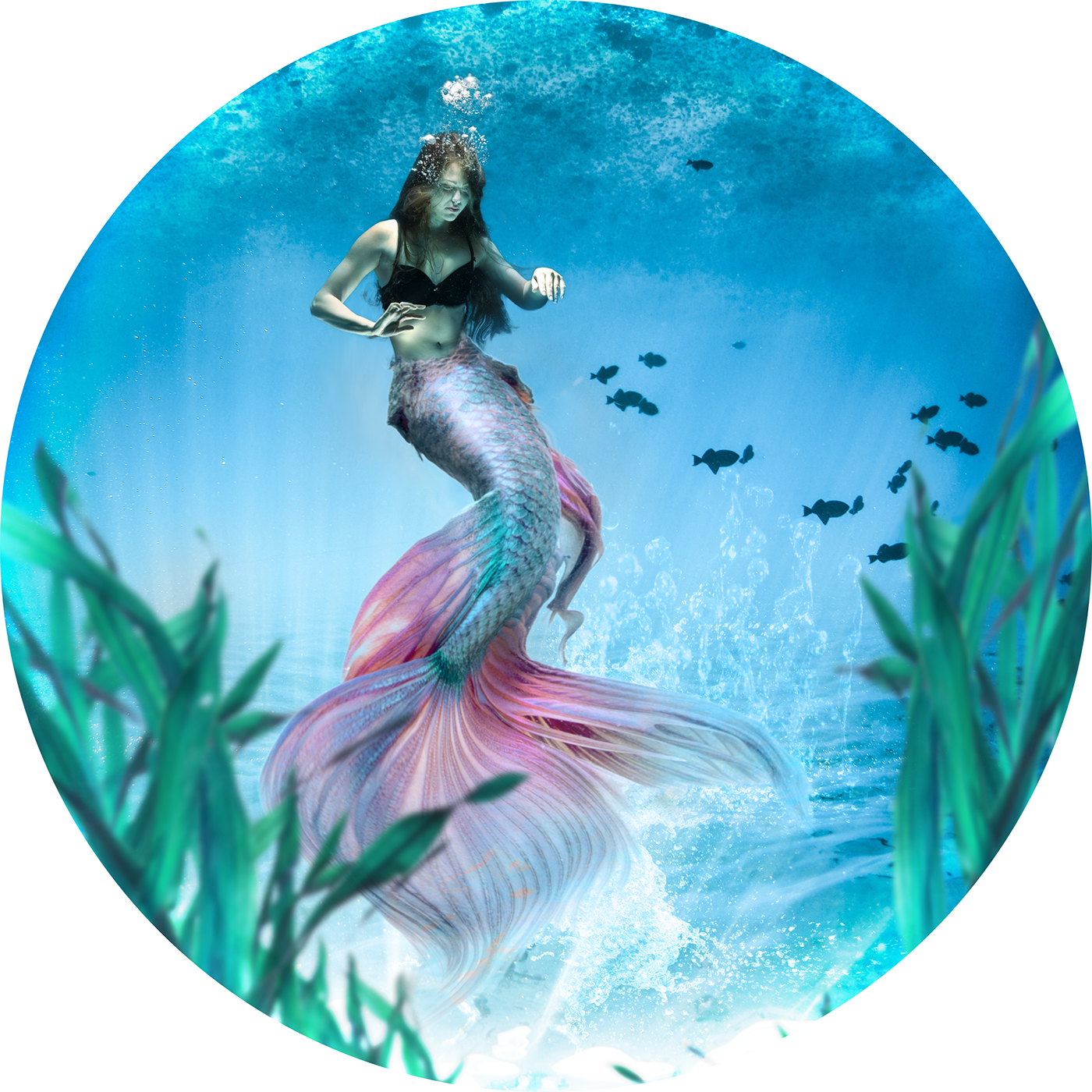 Affinity photo Composite digital art affinityphoto mermaid water underwater blue