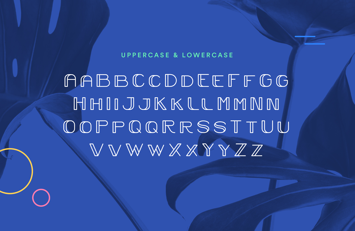 font elegant type typography   free modern download sans Display wedding