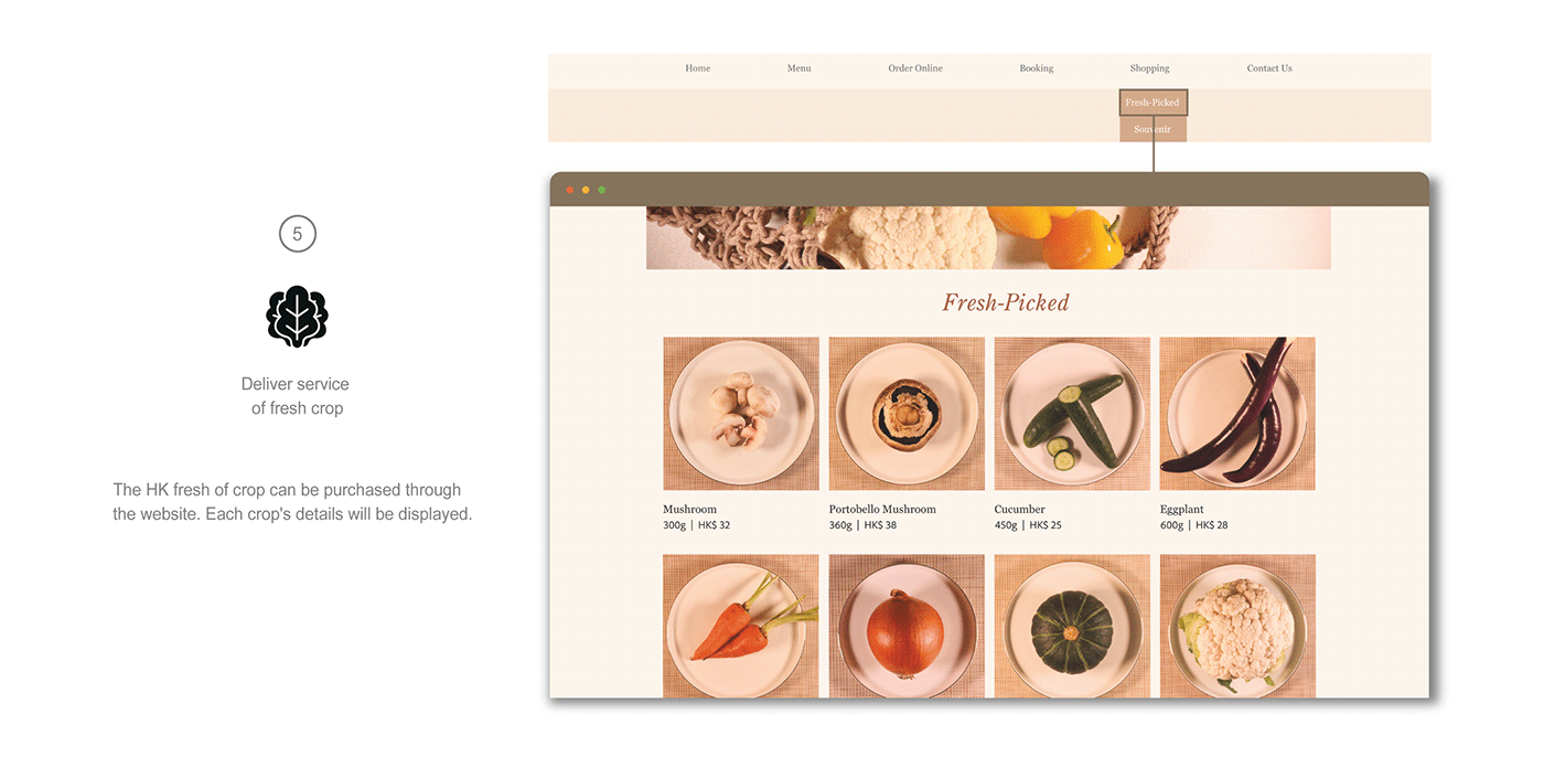 farmtotable ui design UI/UX user interface Web Design  Website