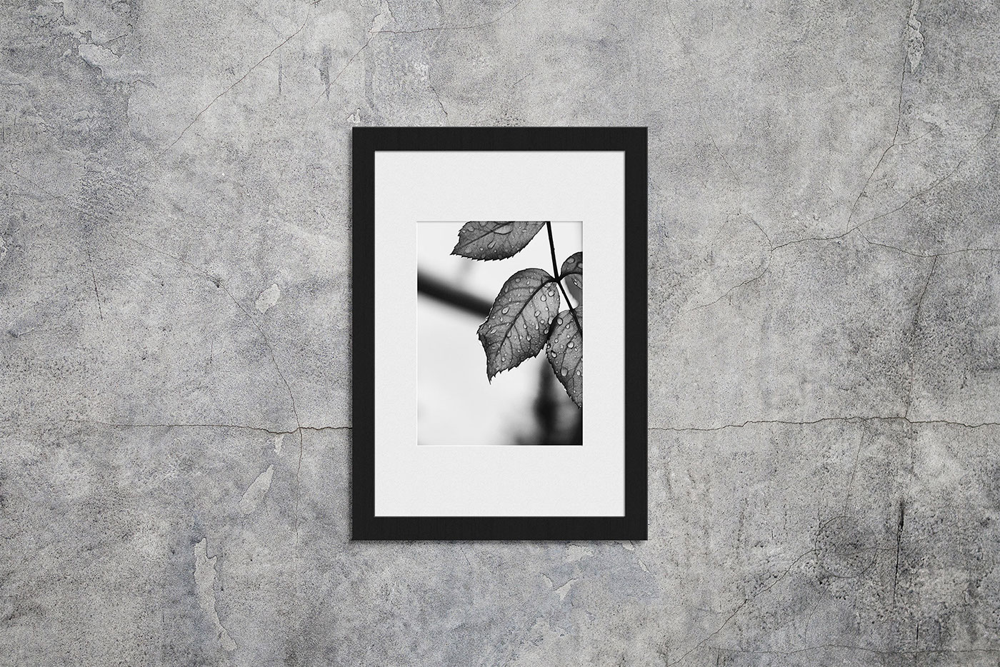 Picture Frame Mockup frame mockup Poster Mockup photography mockup free mockup  free Photography 