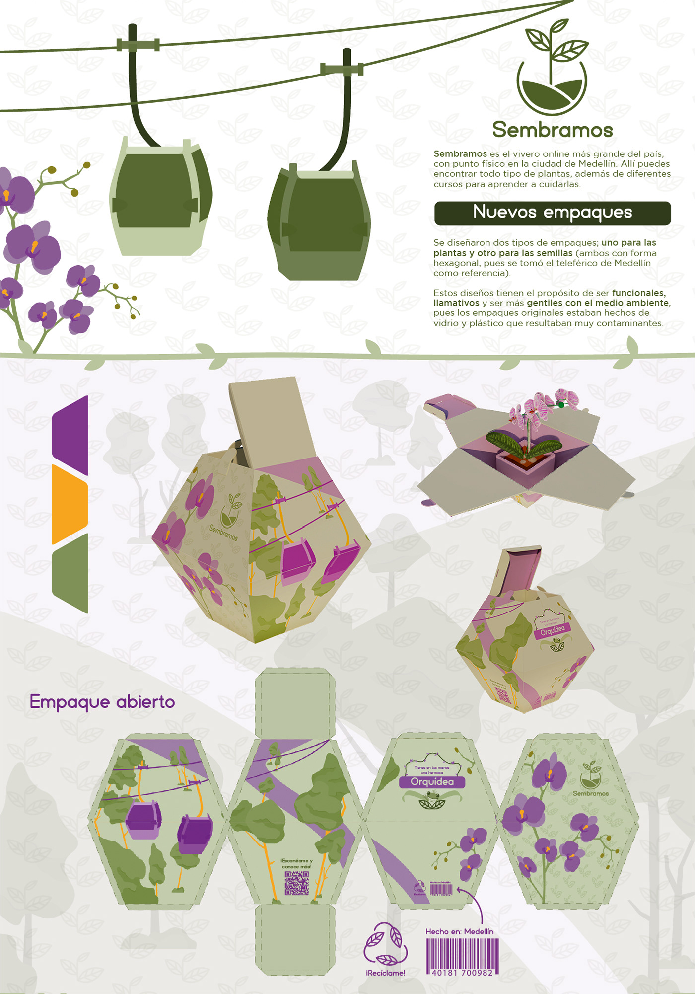 Packaging diseño gráfico Graphic Designer ILLUSTRATION  Diseño de Empaques
