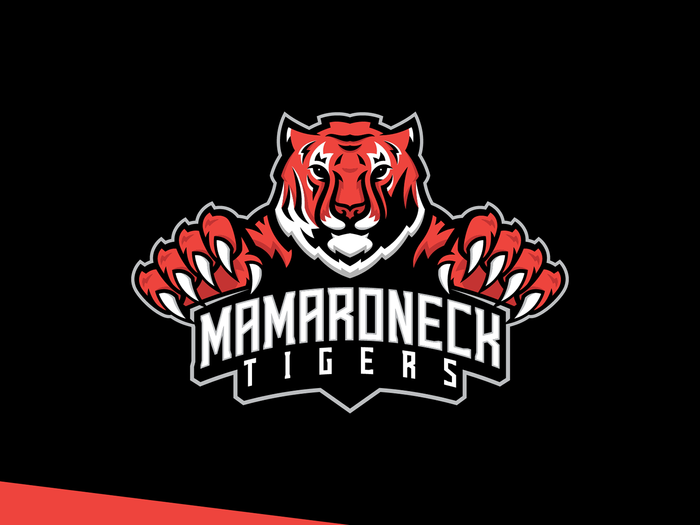 tigers football baseball hockey logo tiger mamaroneck