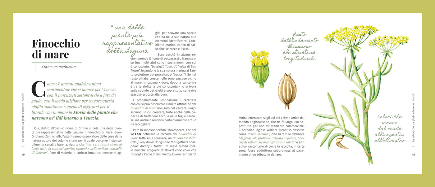 book book design cover design editorial editorial design  Flowers impaginazione Nature text