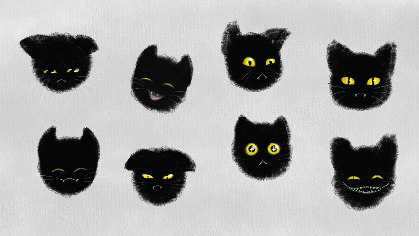 Cat Character Character design  Digital Art  digital illustration Expression posestudy turnarounds