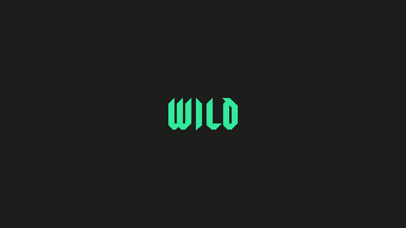 branding  identity Logo Design Logotype music Music Branding music management Music Website typography   visual identity