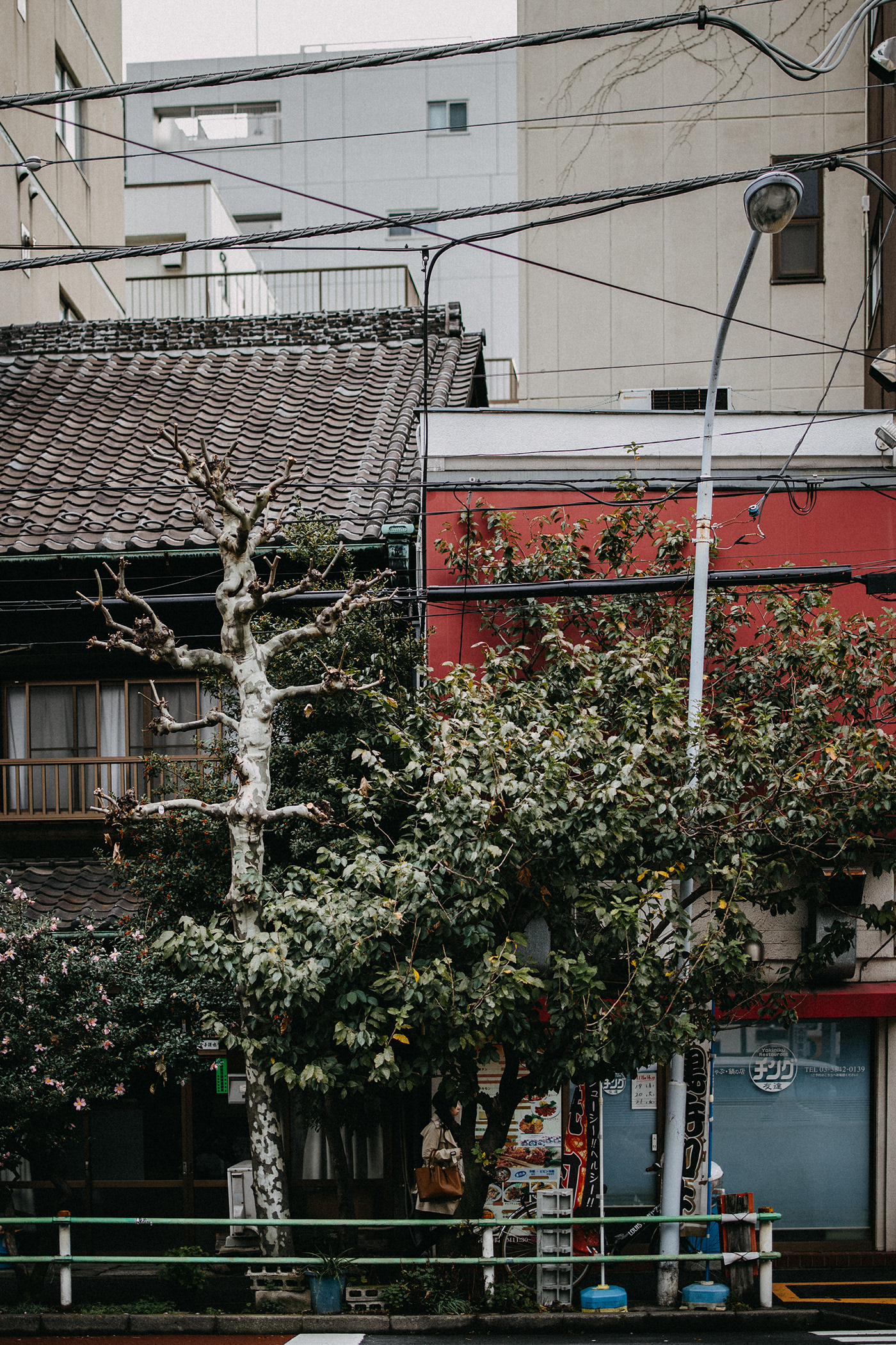 Canon EOSR RF50mm taotzu chang tokyo Streetphotogrpahy Urban Travel 街拍