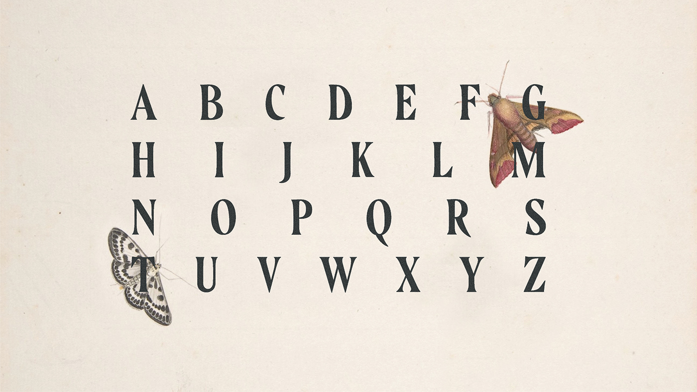 oldstyle Typeface free Display font romana vintage serif