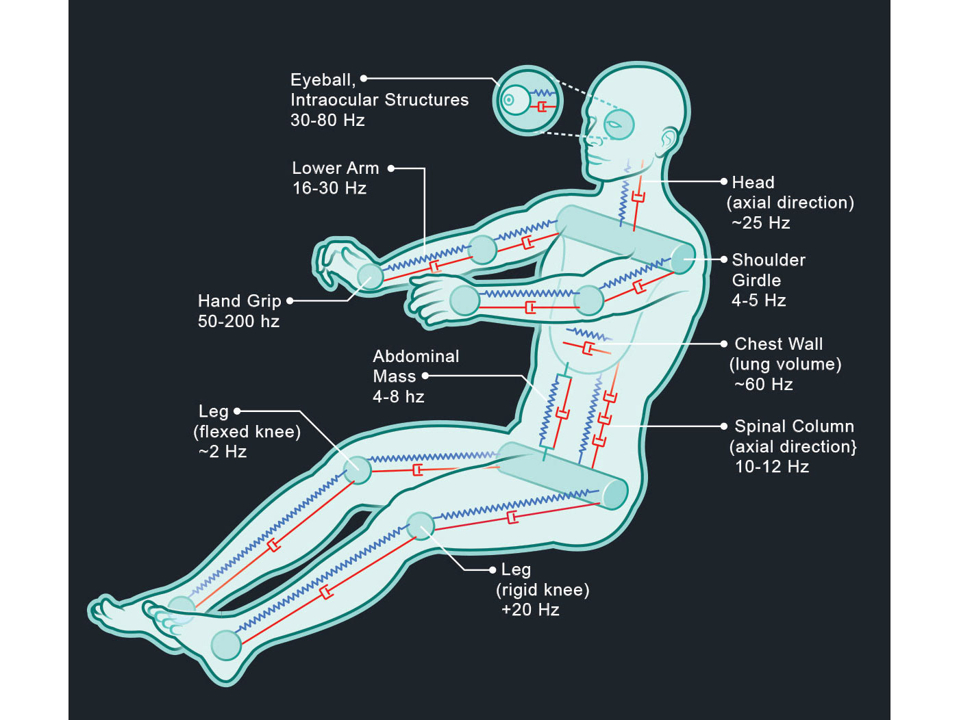 anatomy automotive   diagram infographic Technology vector Vehicle Dynamics infographics