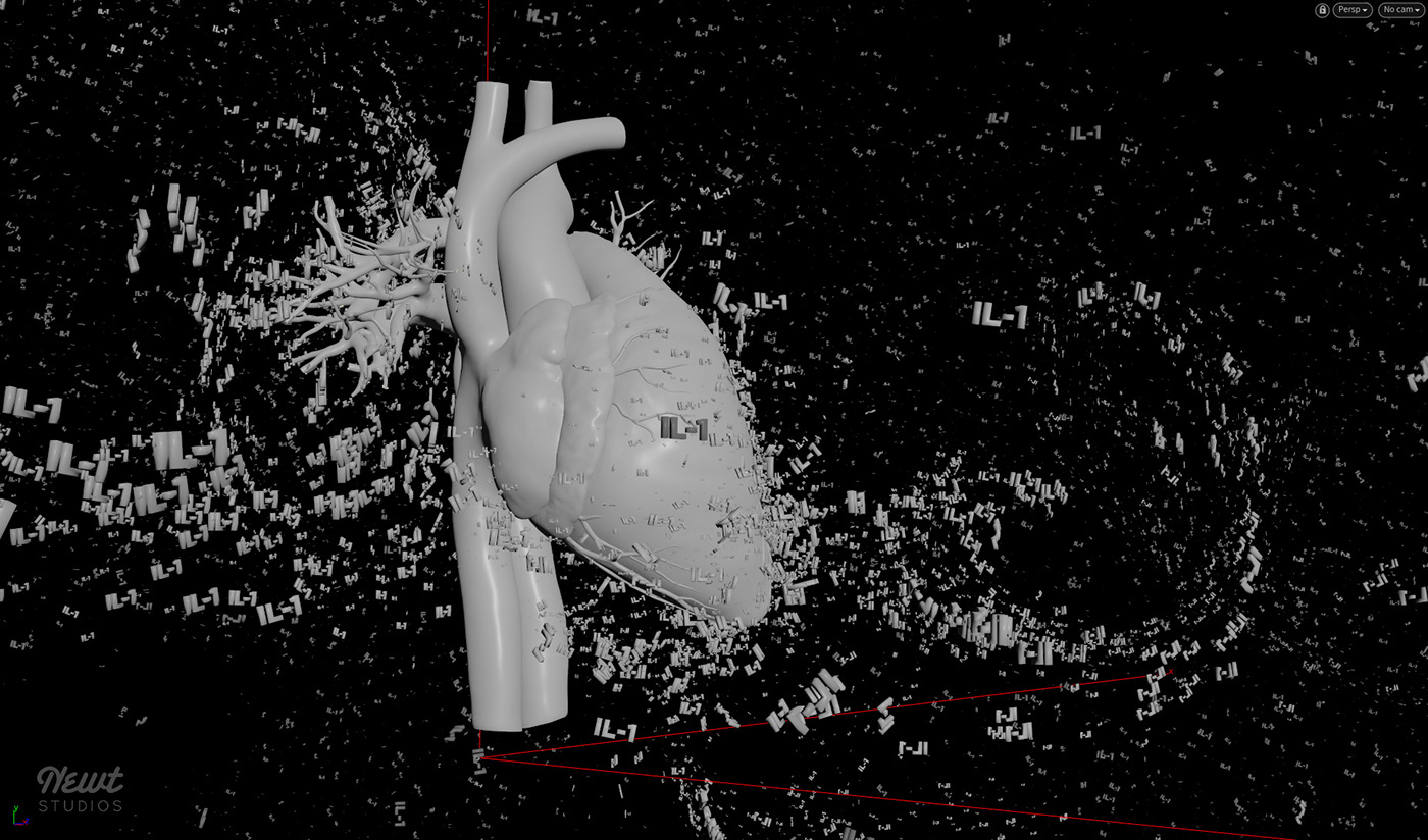 anatomy heart heartanatomy heartanimation heartbeat HeartDisease Humanheart medicalanimation scienceanimation sciencevideo