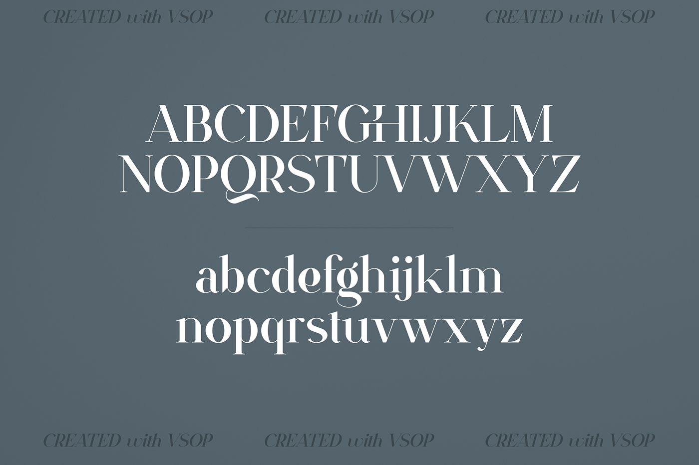 font family Typeface creative Custom serif regular wide multilingual narrow