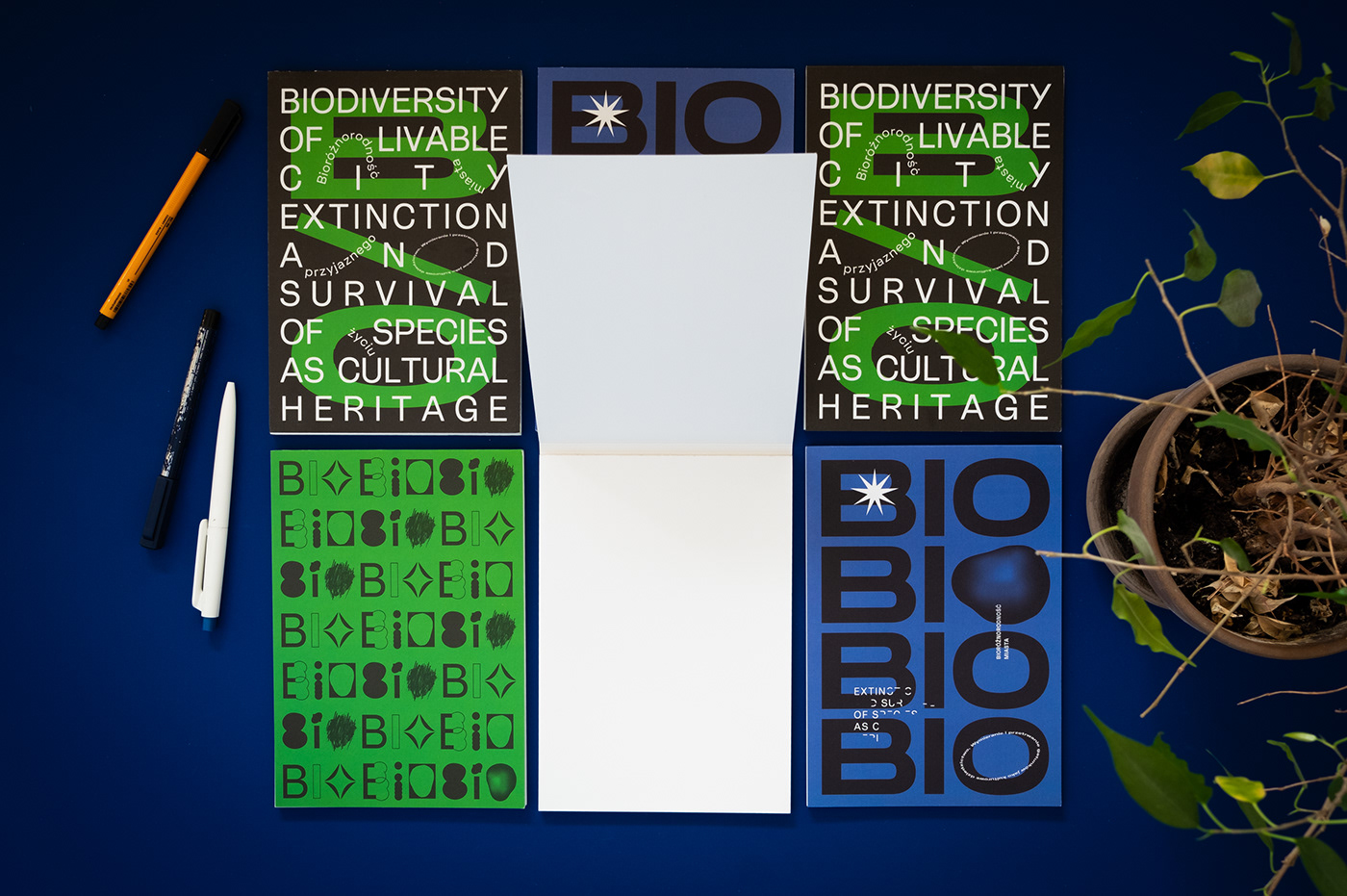 bio book identity ilustrator important InDesign logos posters typography