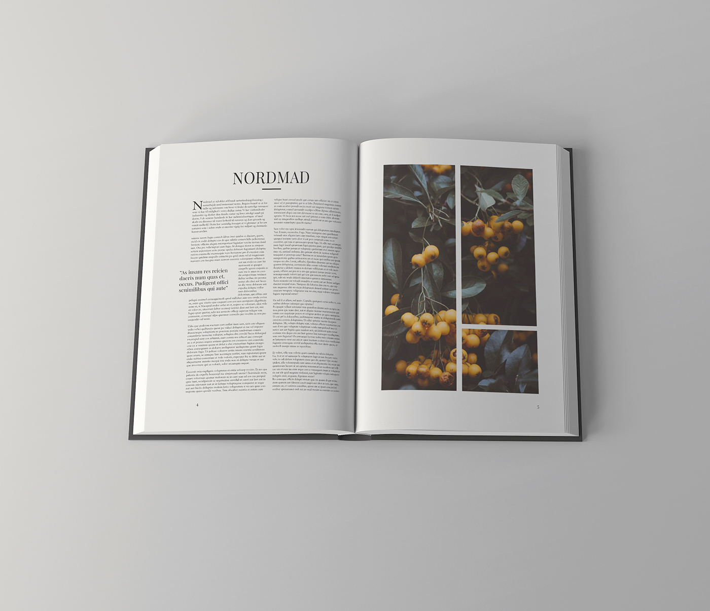 book Layout layouting Bookdesign Book Layout magazine InDesign