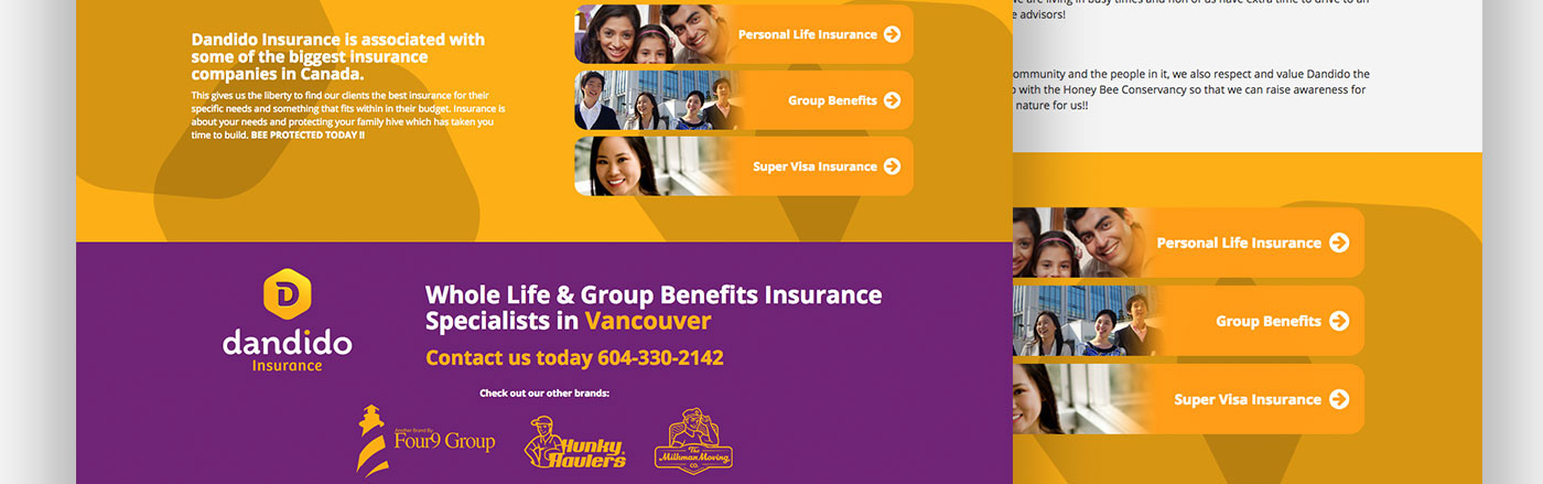 landing page dandido violet bee yellow insurance Website