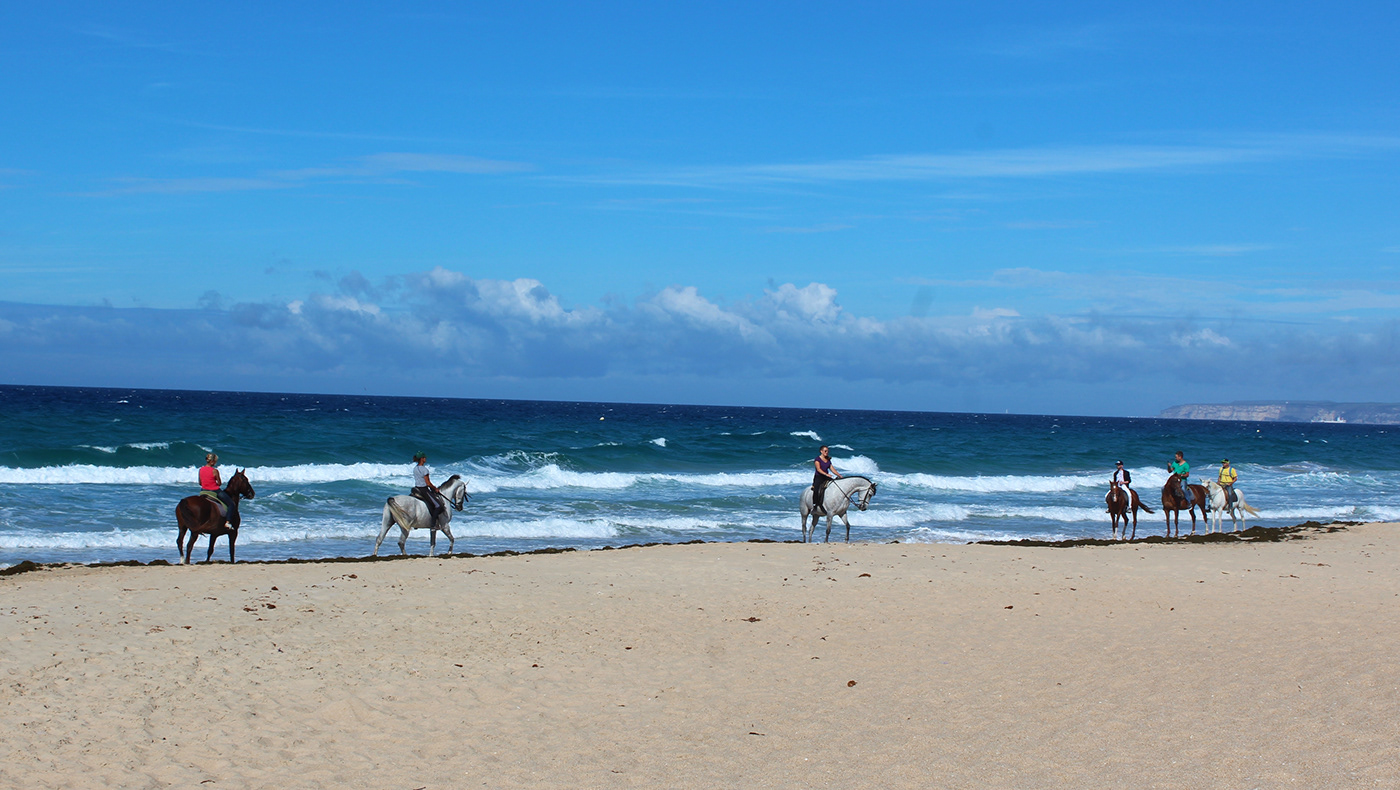 Cavalli sulla spiaggia di Zahara, Spagna