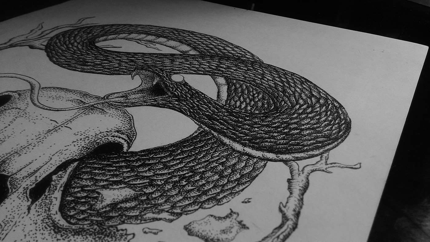 Drawing  ink ILLUSTRATION  skull snake Pointillism stippling