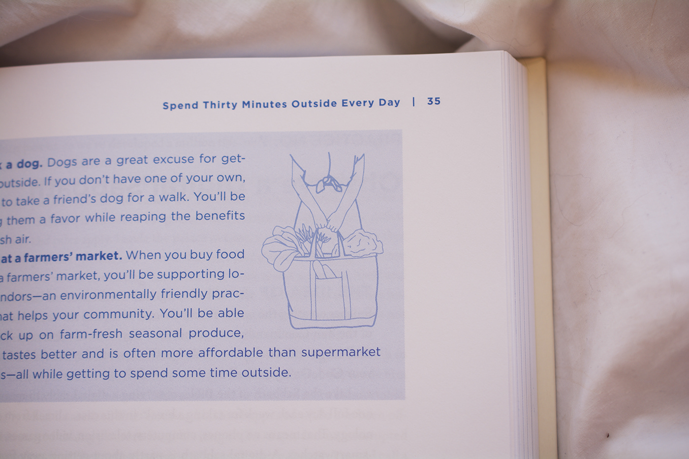 A photo of a select page in the Getting Away book that features Amelia's illustrations.