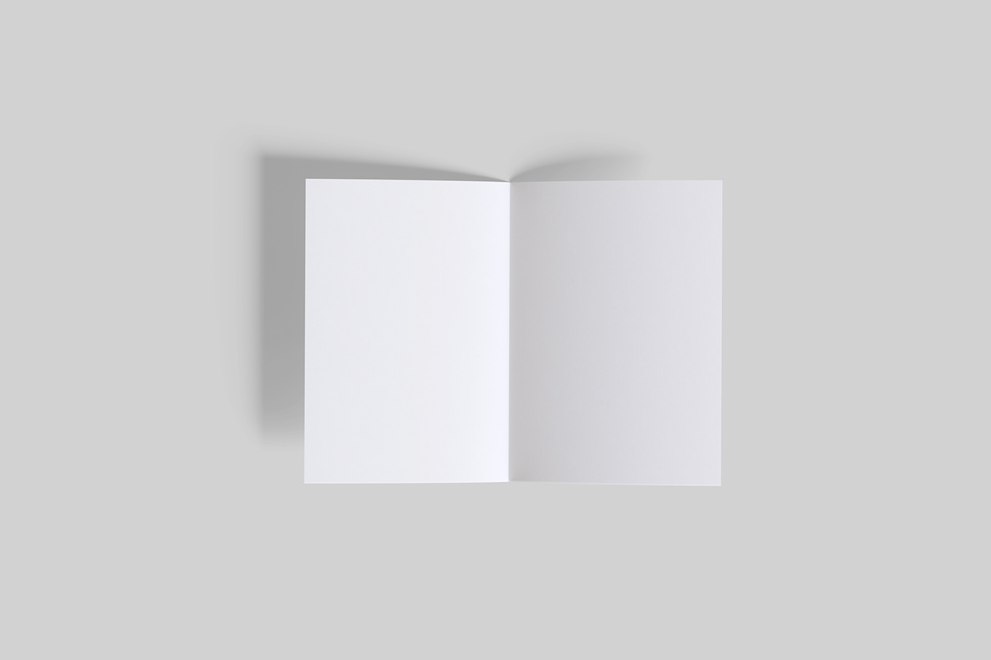 a5 bifold brochure Mockup psd Advertising  paper Layout catalog document