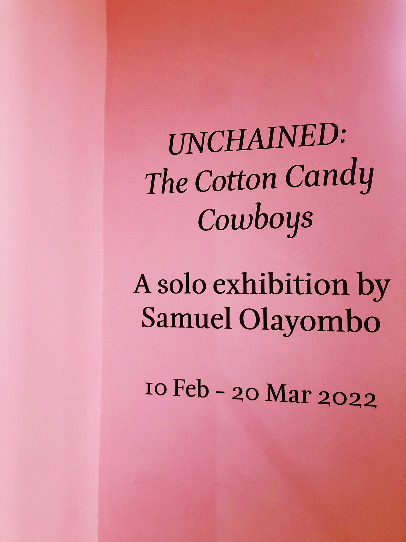 art nigerian painting   accra cowboy pastel pink plants solo debut Villagio