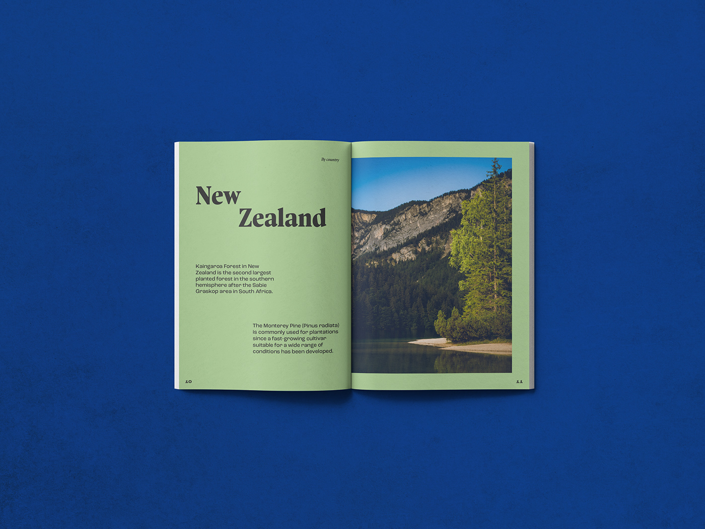 editorial graphic design  magazine typography   Nature Catalogue Layout grid coconino