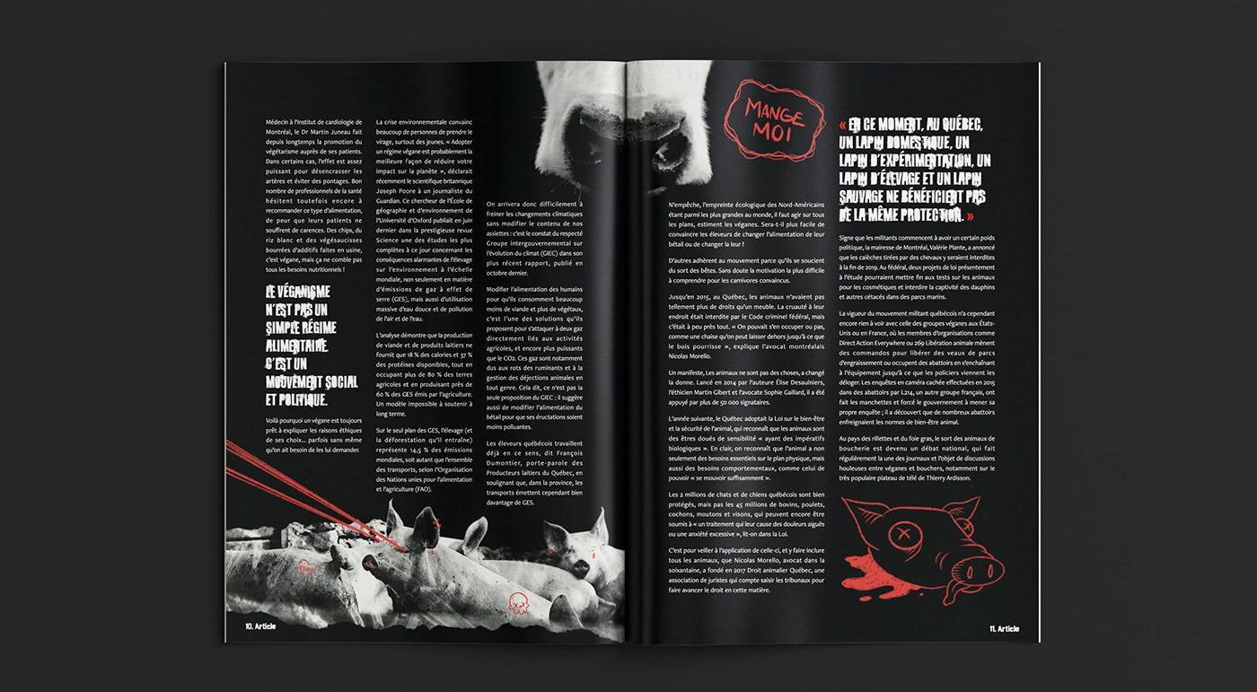 magazine Magazine design edition editorial editorial design  InDesign