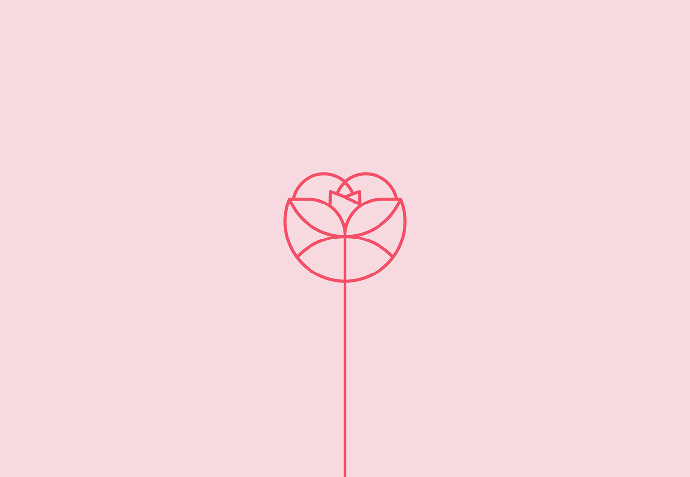 branding  designer flor flower logo logo pessoal personal Personal Brand rosa rose