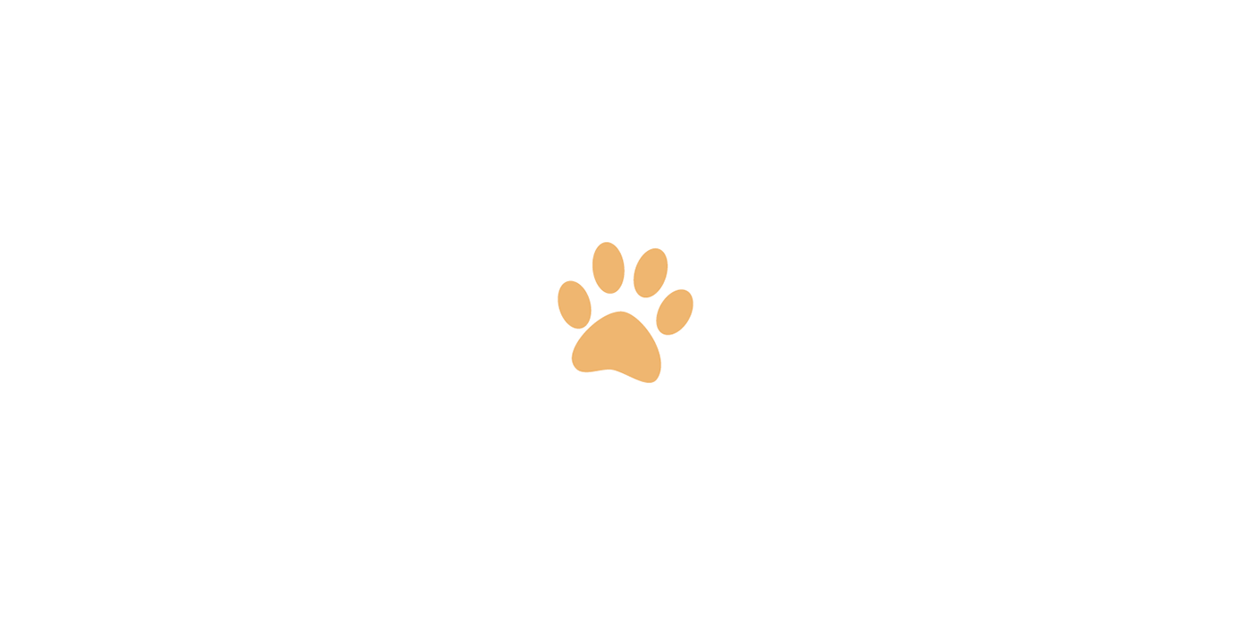 logo brand Logotype Identyti Cat trend animal minimal