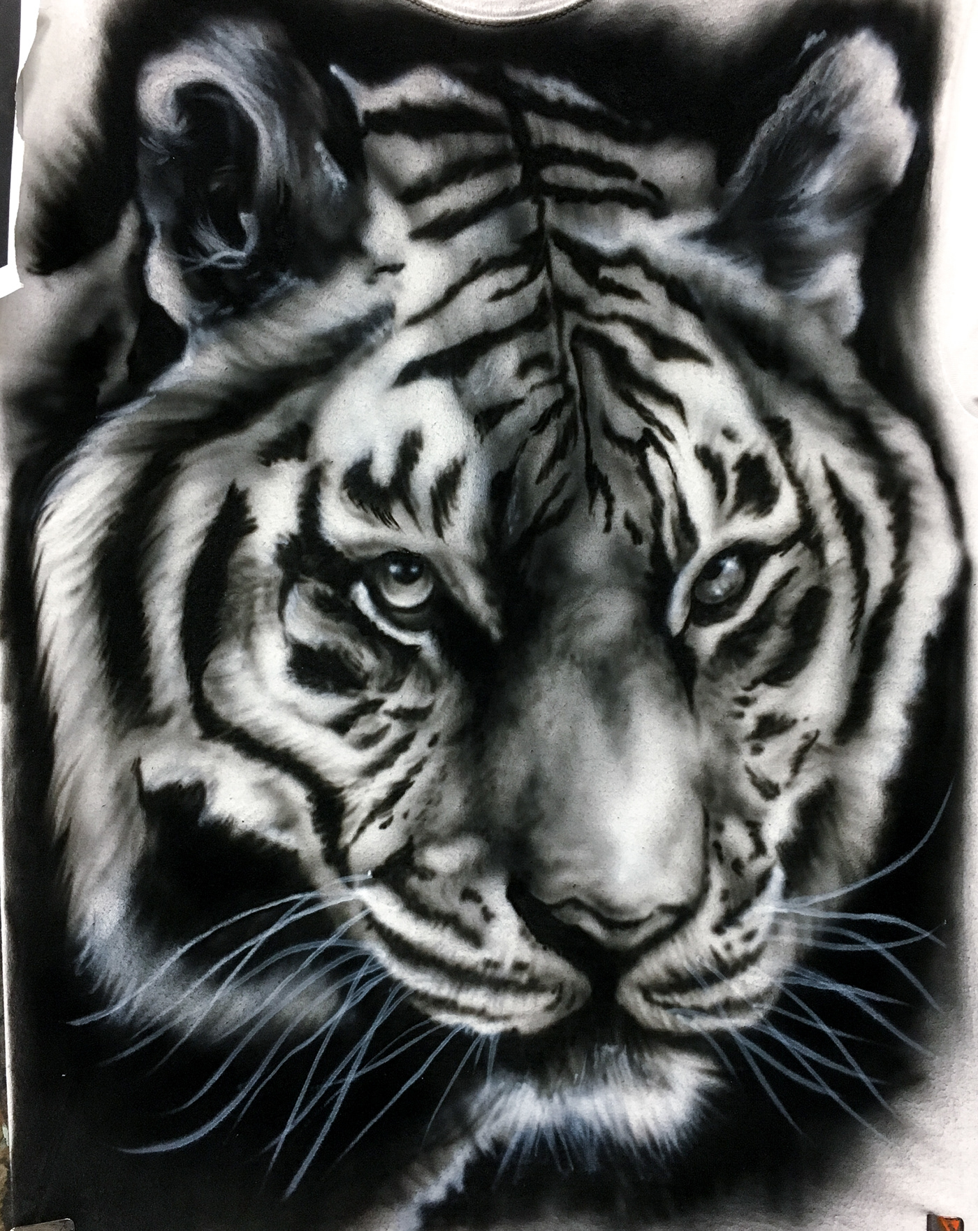 Image may contain: tiger, animal and mammal