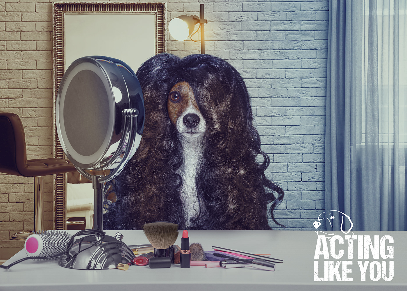 ads Advertising  animal dog dogs Mainpulation   marketing   pets Social media post